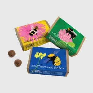 Custom Wildflower Seed Boxes