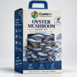 Mushroom Kit Boxes