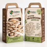 Mushroom Kit Boxes whole sale